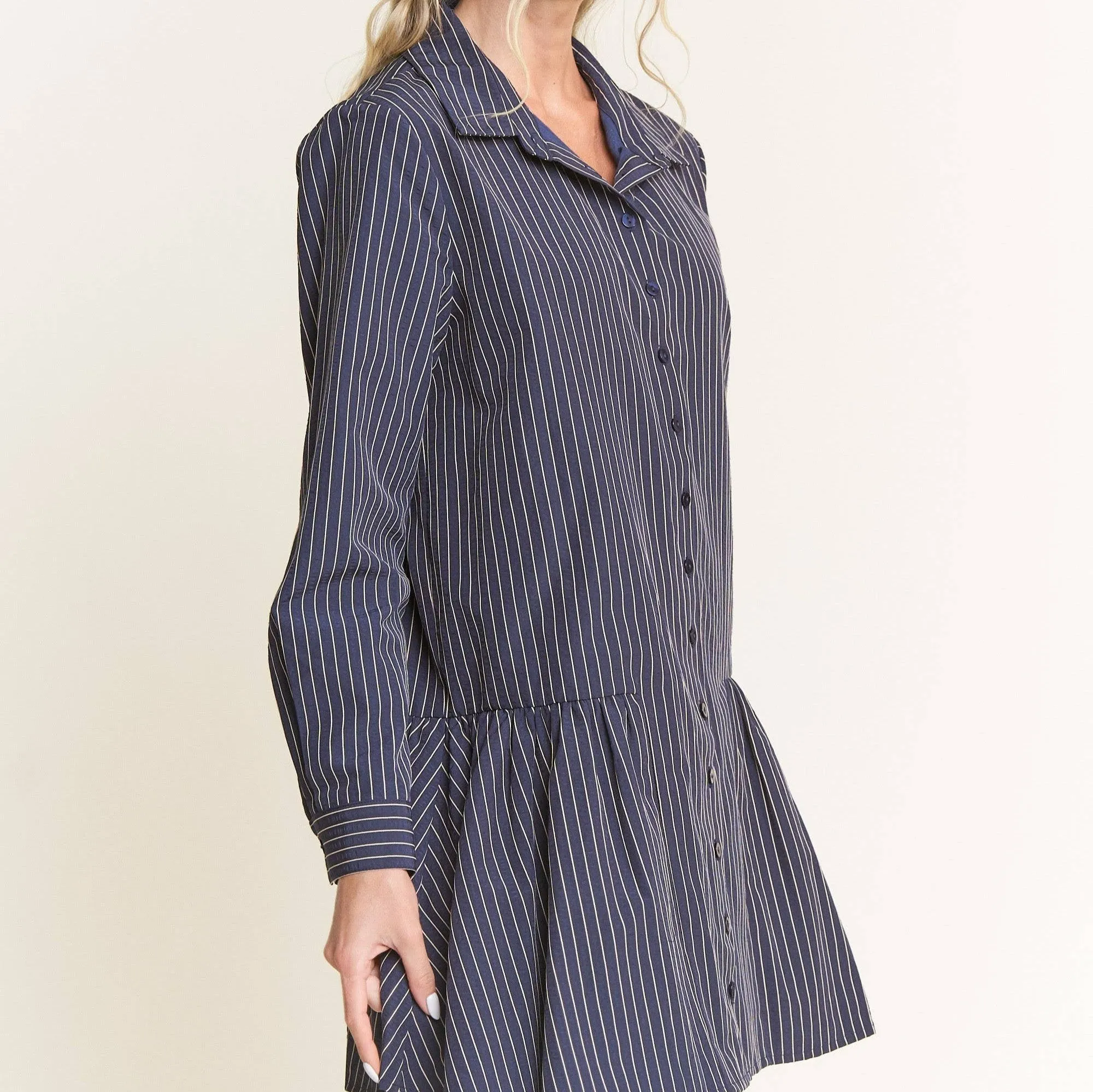 Jen Navy Striped Collared Dress