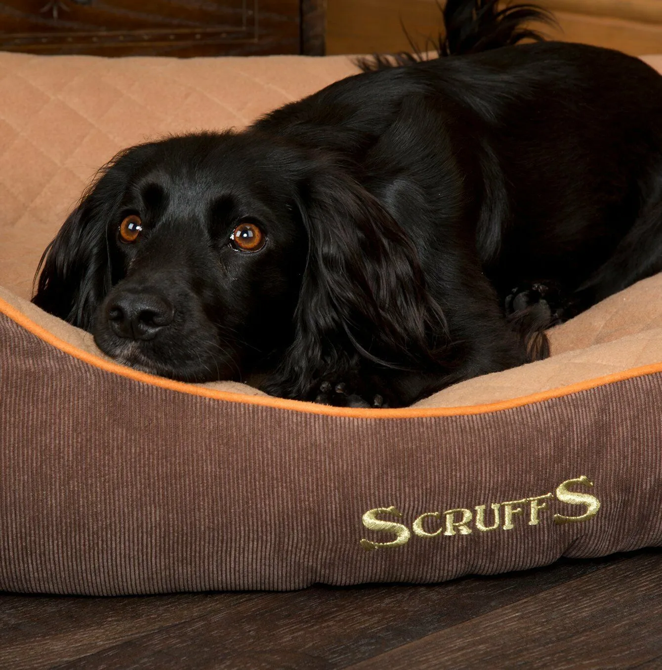 Scruffs Thermal Self Heating Box Bed